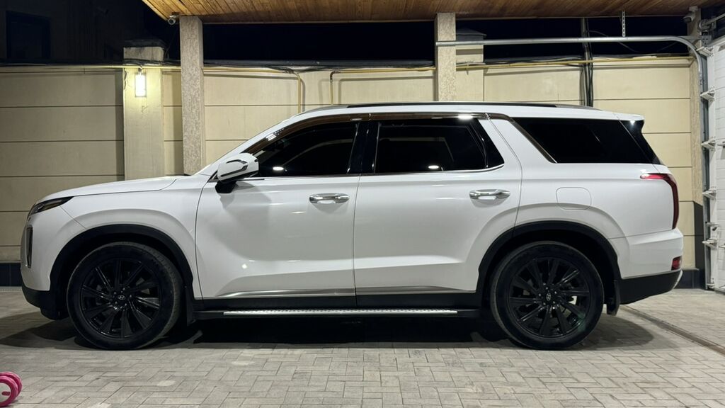 Hyundai Palisade: 2019 г., 2.2 л, Дизель, Кроссовер: фото 1