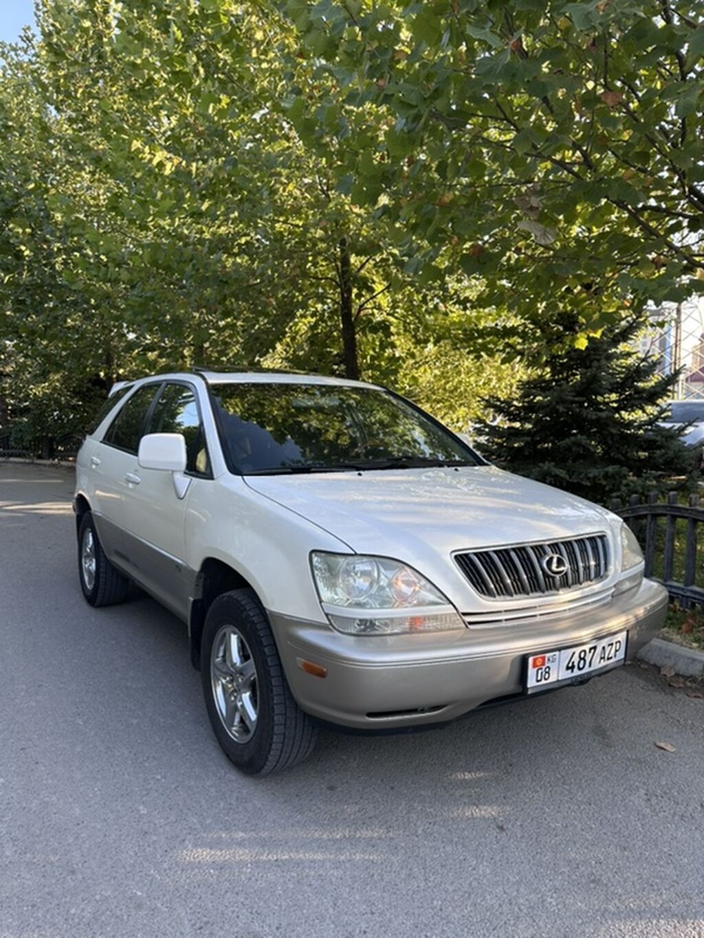 Lexus RX: 2001 г., 3 л, Автомат, Бензин, Кроссовер: фото 2