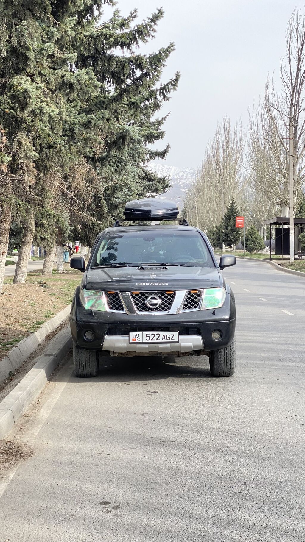 Nissan Pathfinder: 2005 г., 2.9 л, Механика, Дизель, Внедорожник: фото 3