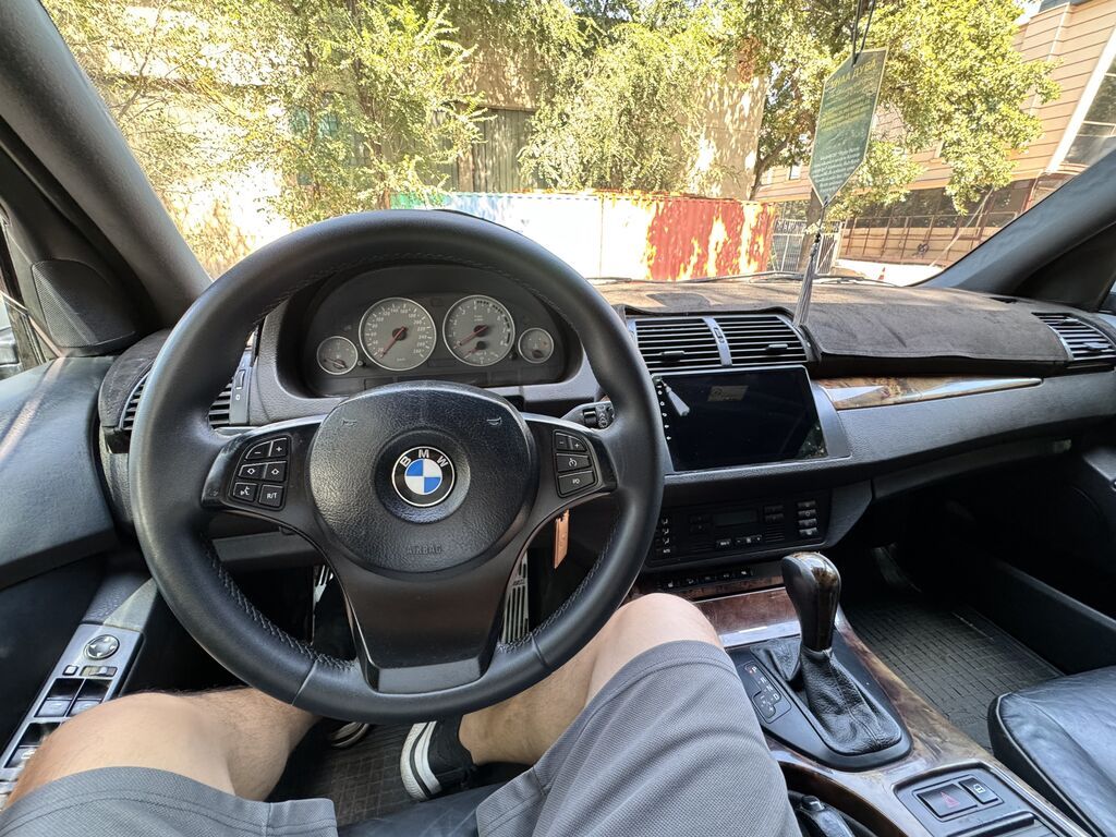 BMW X5: 2002 г., 4.6 л, Автомат, Бензин, Внедорожник: фото 8