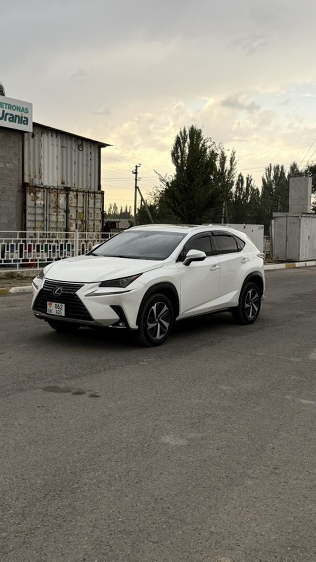 Lexus NX: 2019 г., 2 л, Гибрид, Кроссовер: фото 6