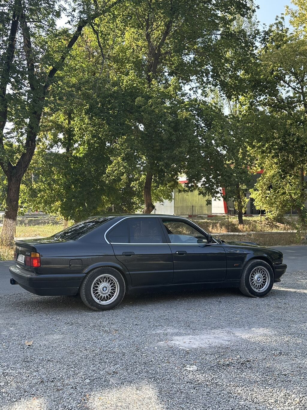 BMW 5 series: 1991 г., 4.6 л, Автомат, Бензин: фото 2
