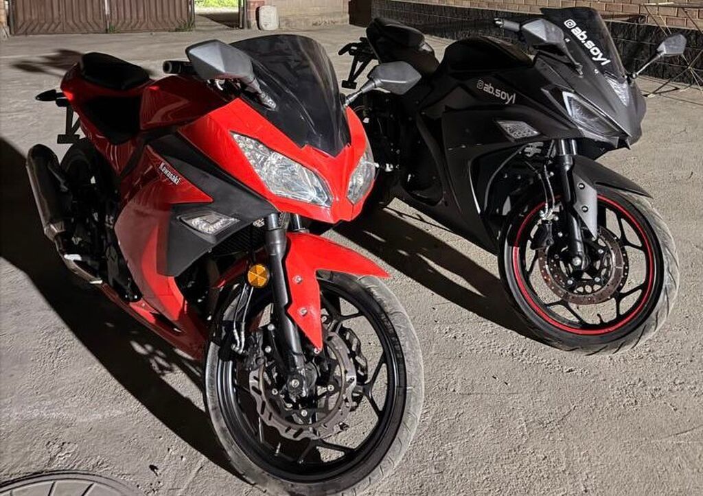 Kawasaki Ninja 300 (серия EX) — спортбайк в ярком красном цвете с: фото 5