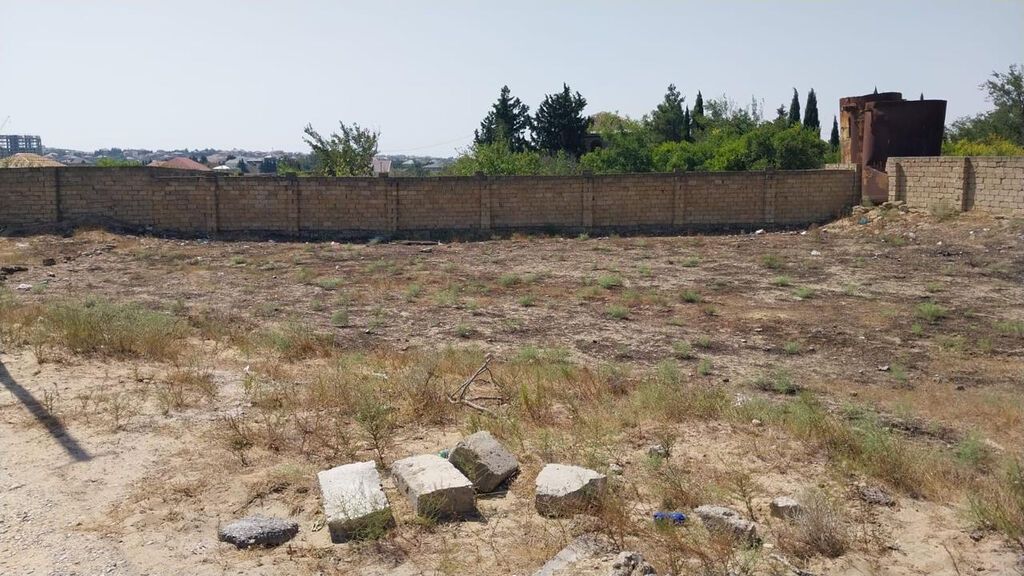 12 sot, Kupça (Çıxarış)