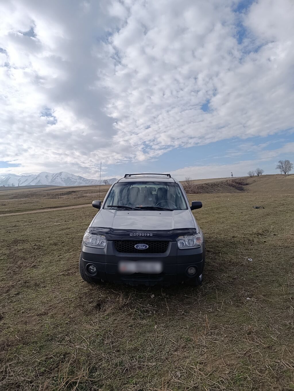 Ford Maverick: 2005 г., 3 л, Автомат, Бензин, Кроссовер: фото 1