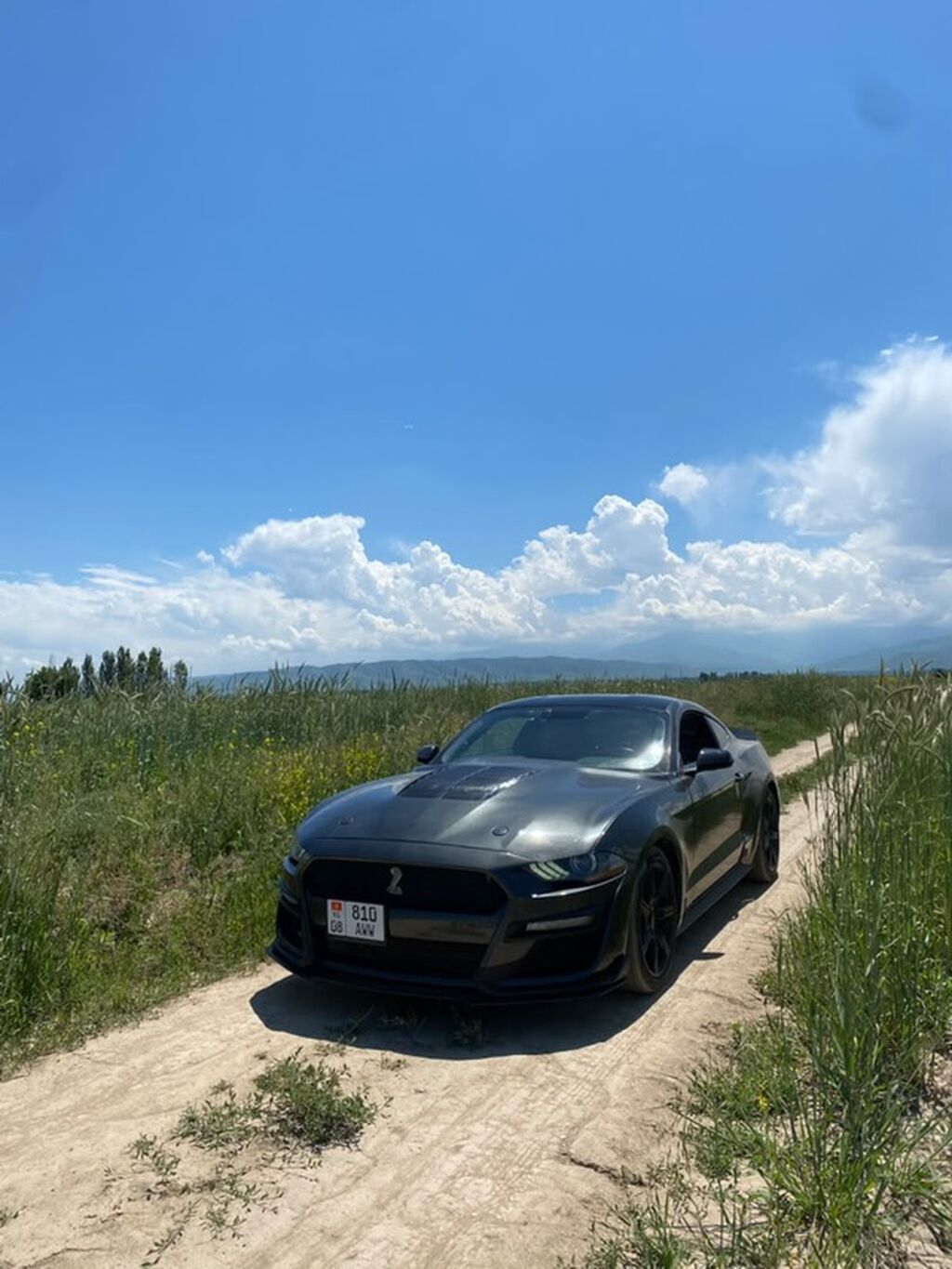 Ford Mustang: 2020 г., 2.3 л, Автомат, Купе: фото 6