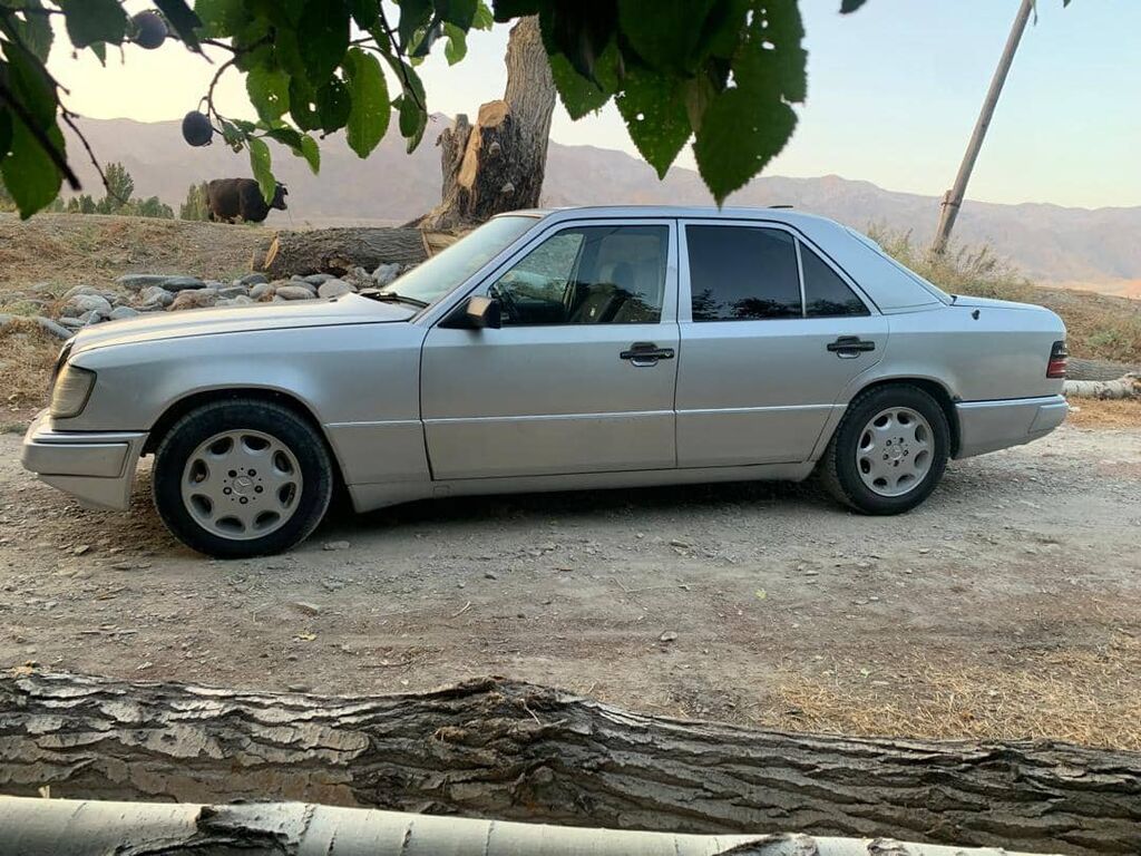 Mercedes-Benz W124: 1991 г., 2.3 л, Механика, Бензин, Седан: фото 6