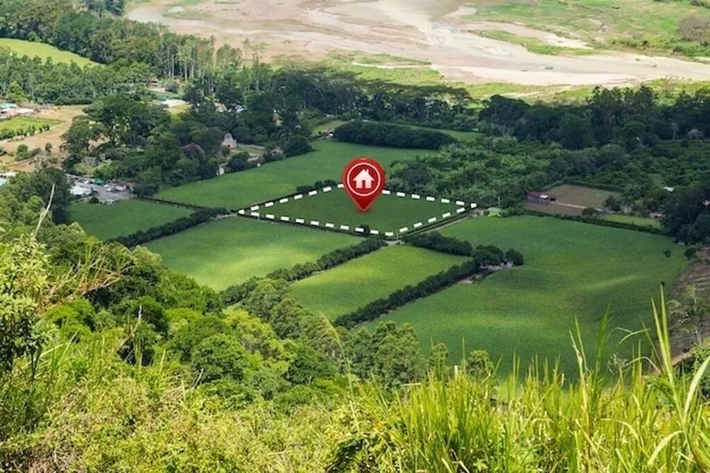 4 соток, Для строительства, Красная книга, Договор купли-продажи: фото 6