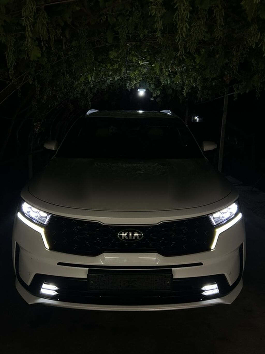 Kia Sorento: 2021 г., 2.2 л, Робот, Дизель, Кроссовер: фото 2