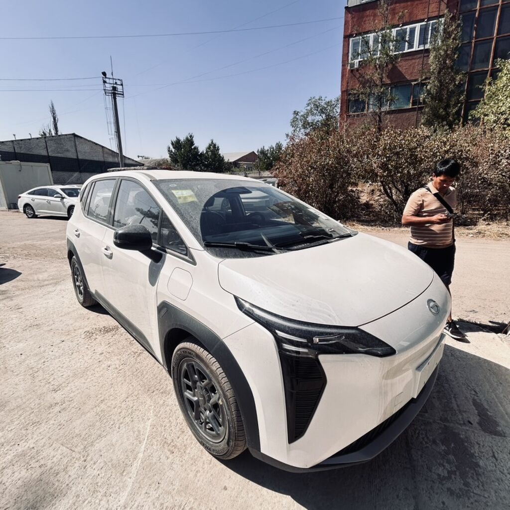 BYD Yuan Plus: 2026 г., Электромобиль, Кроссовер: фото 2