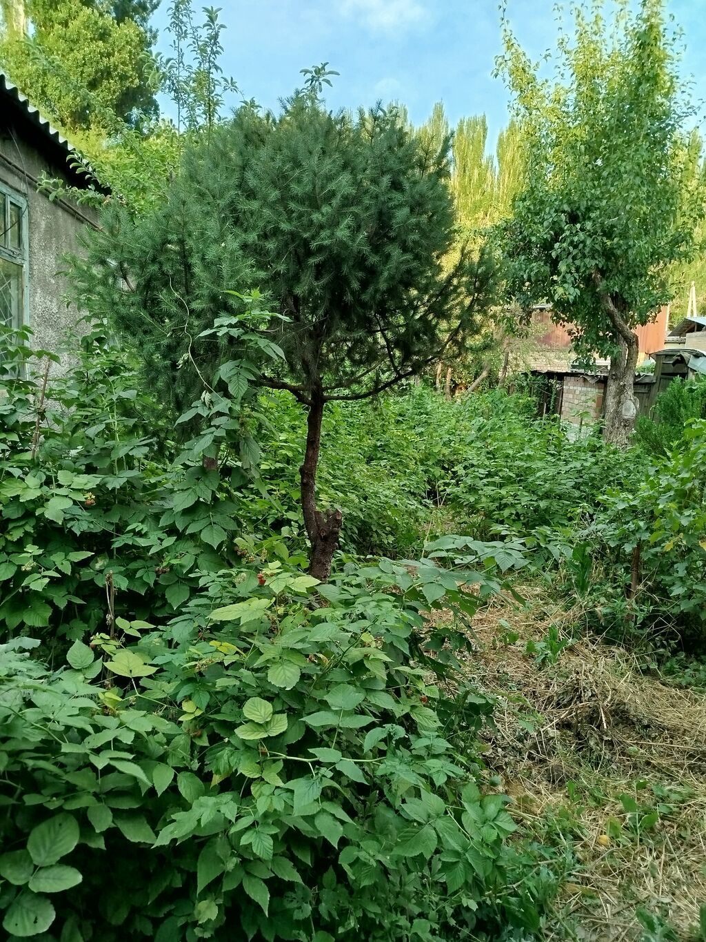 Продам дом 87 м², участок 5.8 соток: фото 6