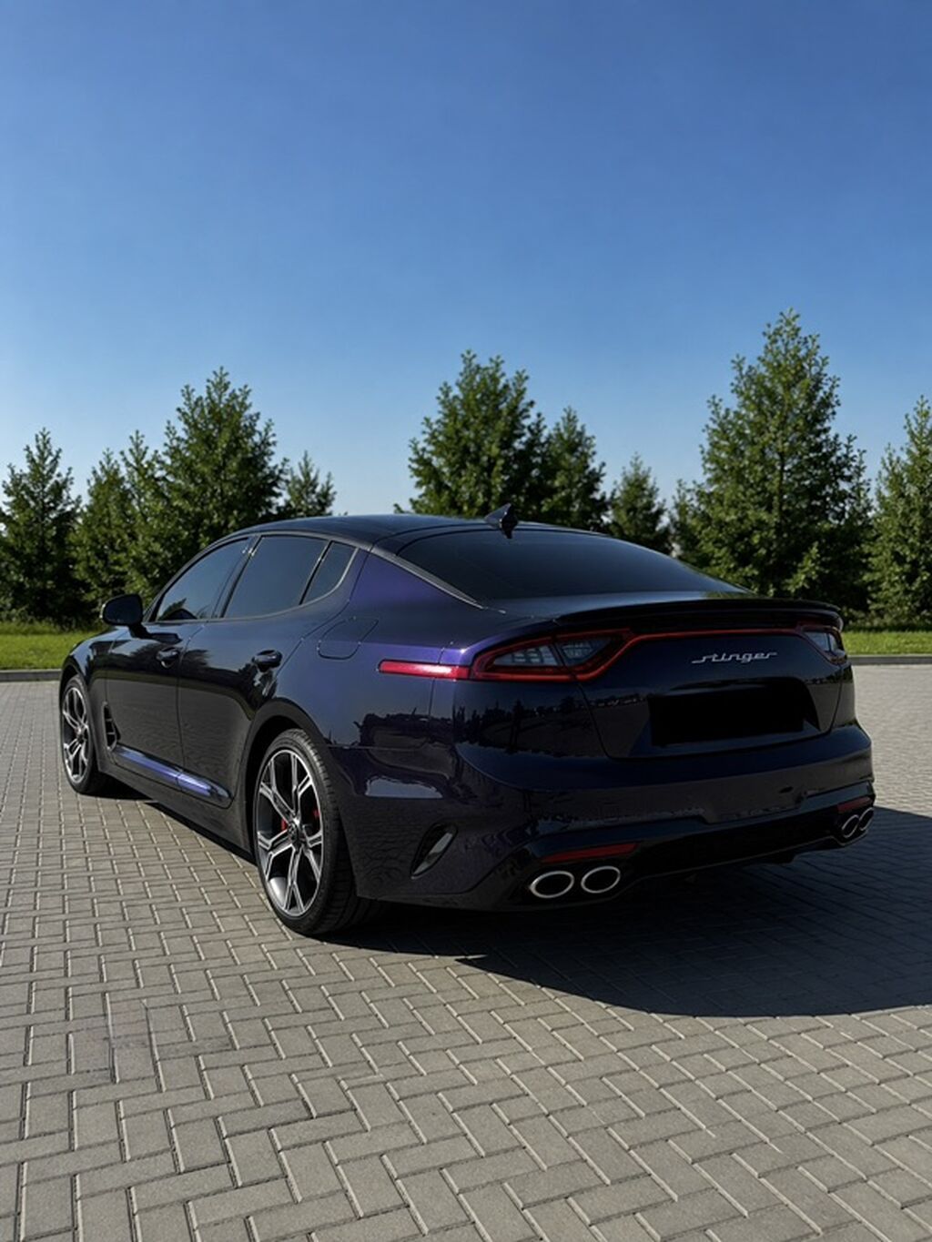 Kia Stinger: 2018 г., 3.3 л, Автомат, Бензин, Фастбек: фото 4