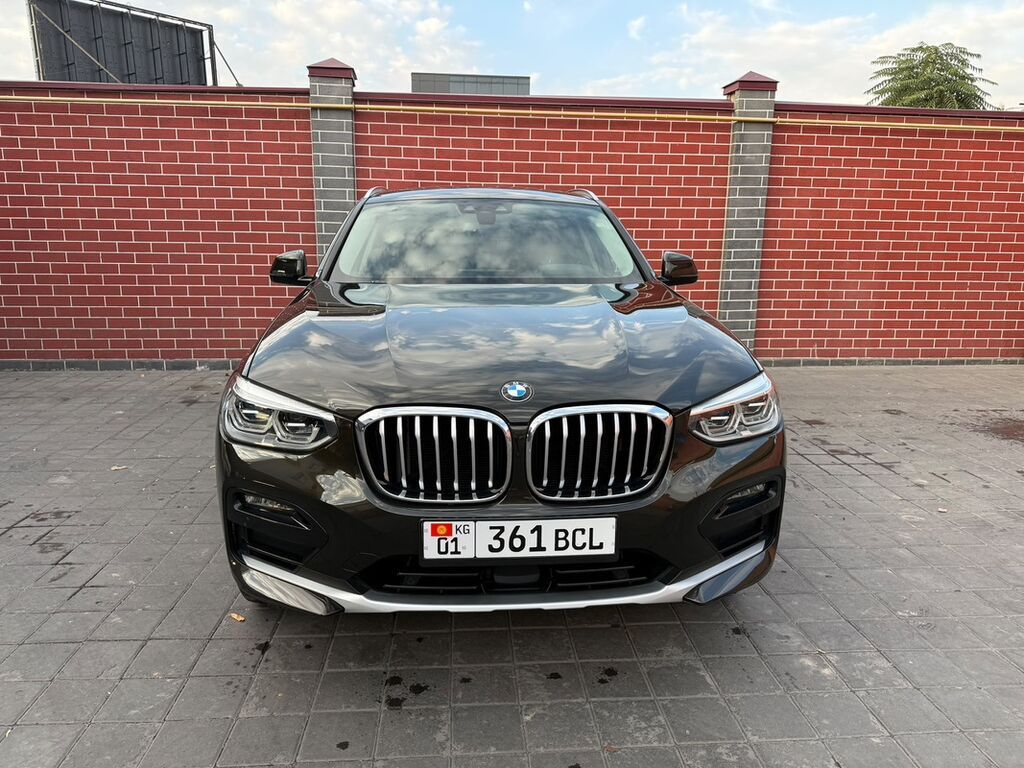 BMW X4: 2020 г., 2 л, Автомат, Дизель, Купе: фото 1
