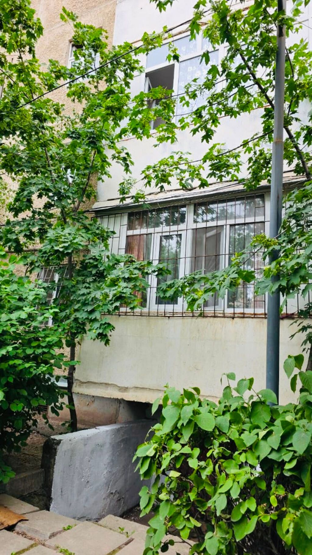1 комната, 35 м², 5 мкр 105 серия, 1 этаж, Свежий ремонт: фото 6