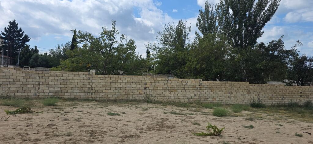 4 sot, Tikinti, Mülkiyyətçi, Kupça (Çıxarış)