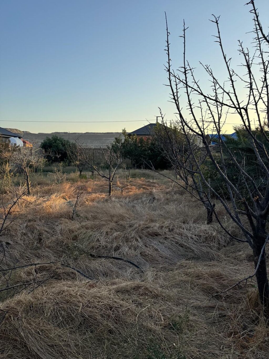 8 sot, Tikinti, Mülkiyyətçi, Kupça (Çıxarış)