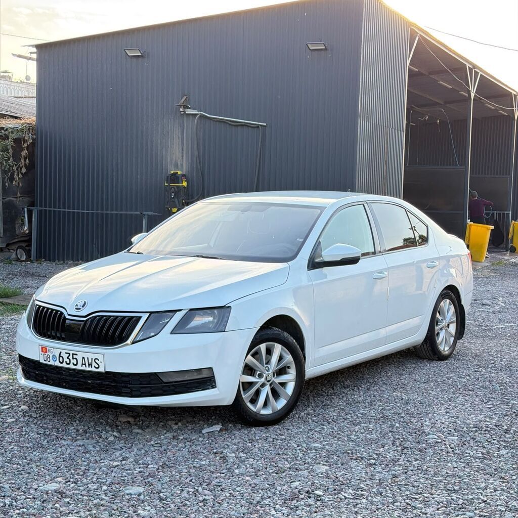 Skoda Octavia: 2017 г., 1.6 л, Автомат, Бензин, Лифтбек: фото 5