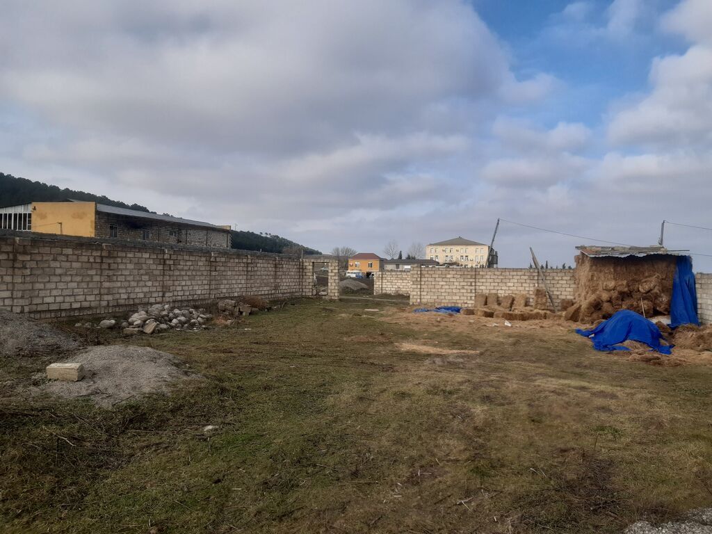 10 sot, Tikinti