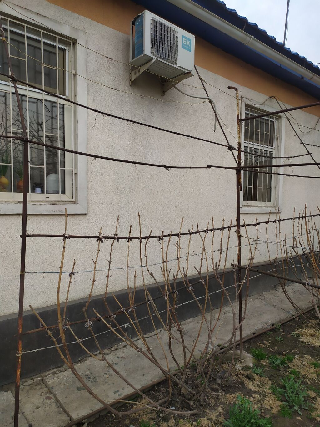 Продаем дом в районе Турецкого лицея ( Тульская /Хмельницкого)в