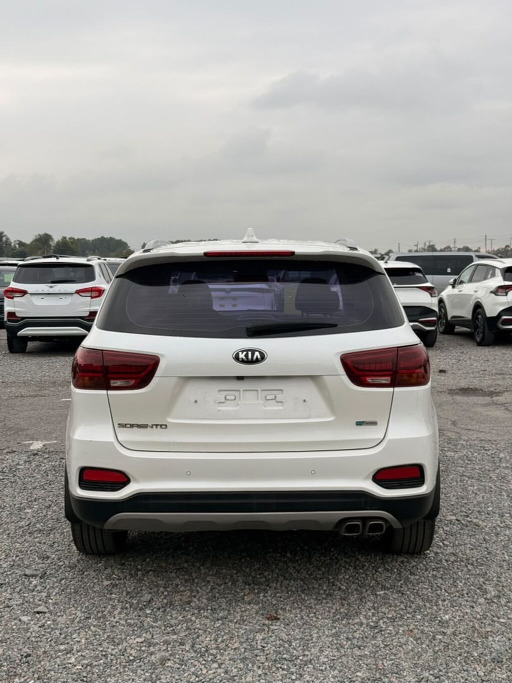 Kia Sorento: 2019 г., 2 л, Автомат, Дизель, Кроссовер: фото 6