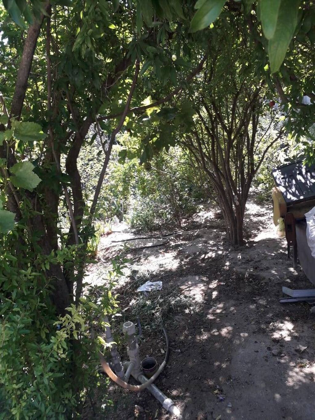 Albalı 4 otaqlı, 90 kv. m, Orta təmir