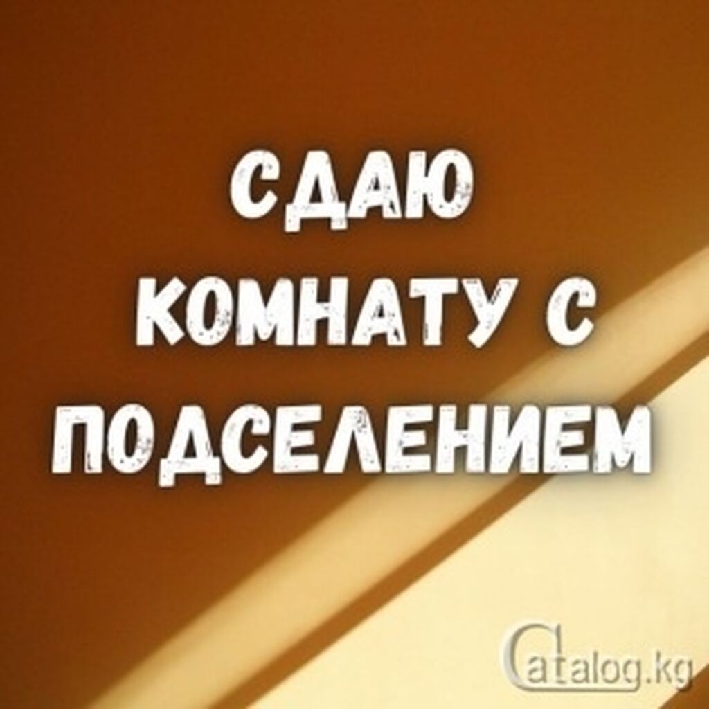 Сдача комнаты только толковому трахеру Сдача комнаты только толковому трахеру