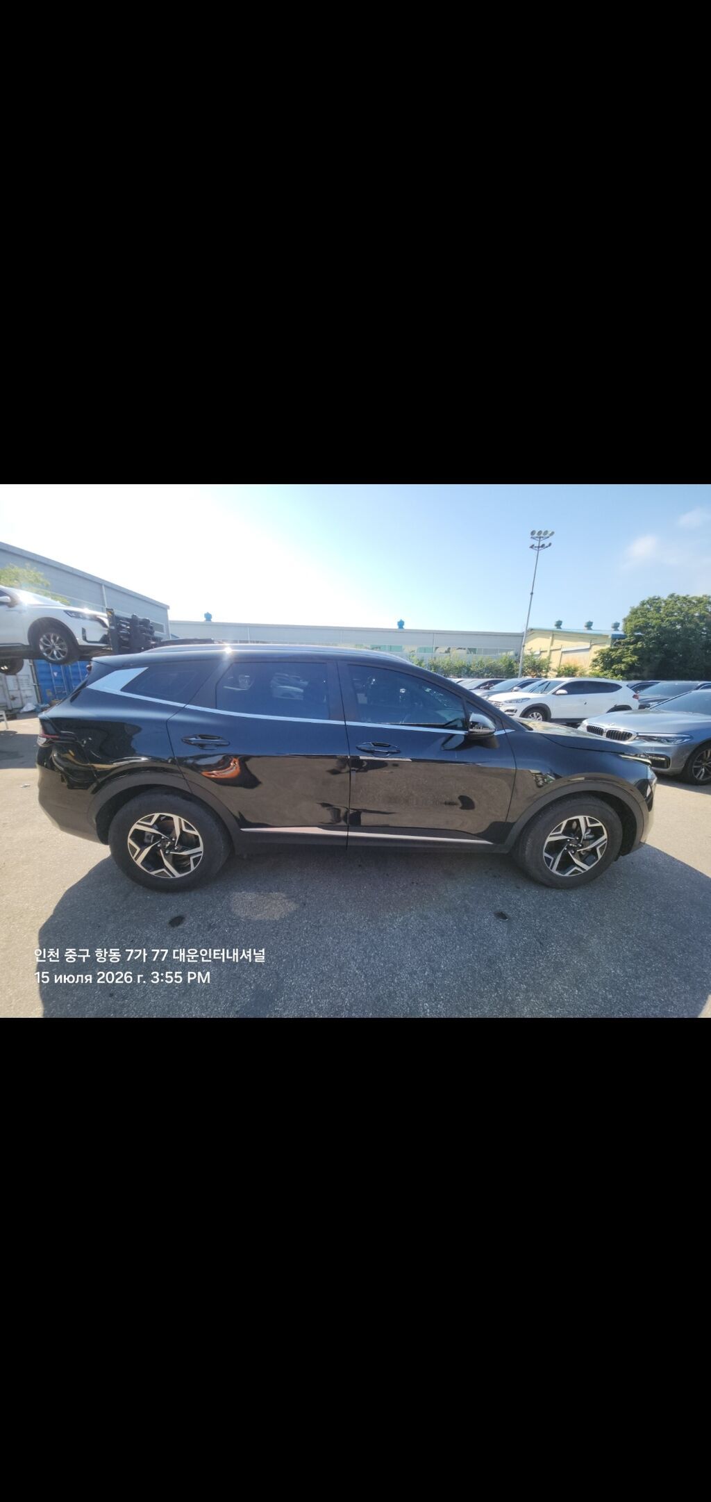 Kia Sportage: 2026 г., 1.6 л, Робот, Бензин, Кроссовер: фото 2