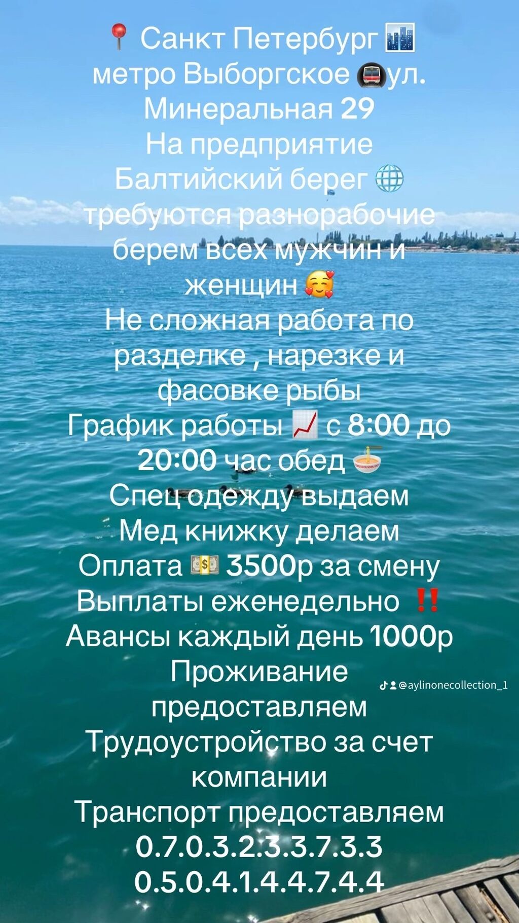 Требуется Разнорабочий, Оплата Еженедельно, Без опыта: 3500 KGS ᐈ  Разнорабочие | Бишкек | 39358831 ➤ lalafo.kg