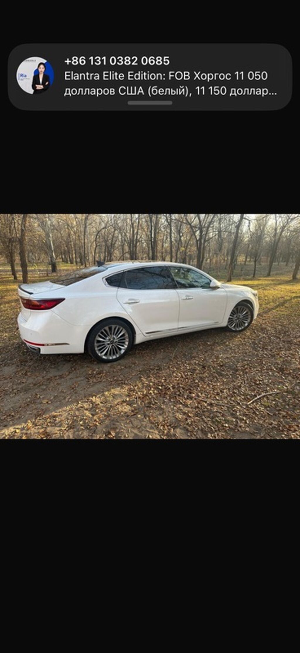 Kia Cadenza: 2019 г., 3 л, Типтроник, Газ, Седан: фото 3