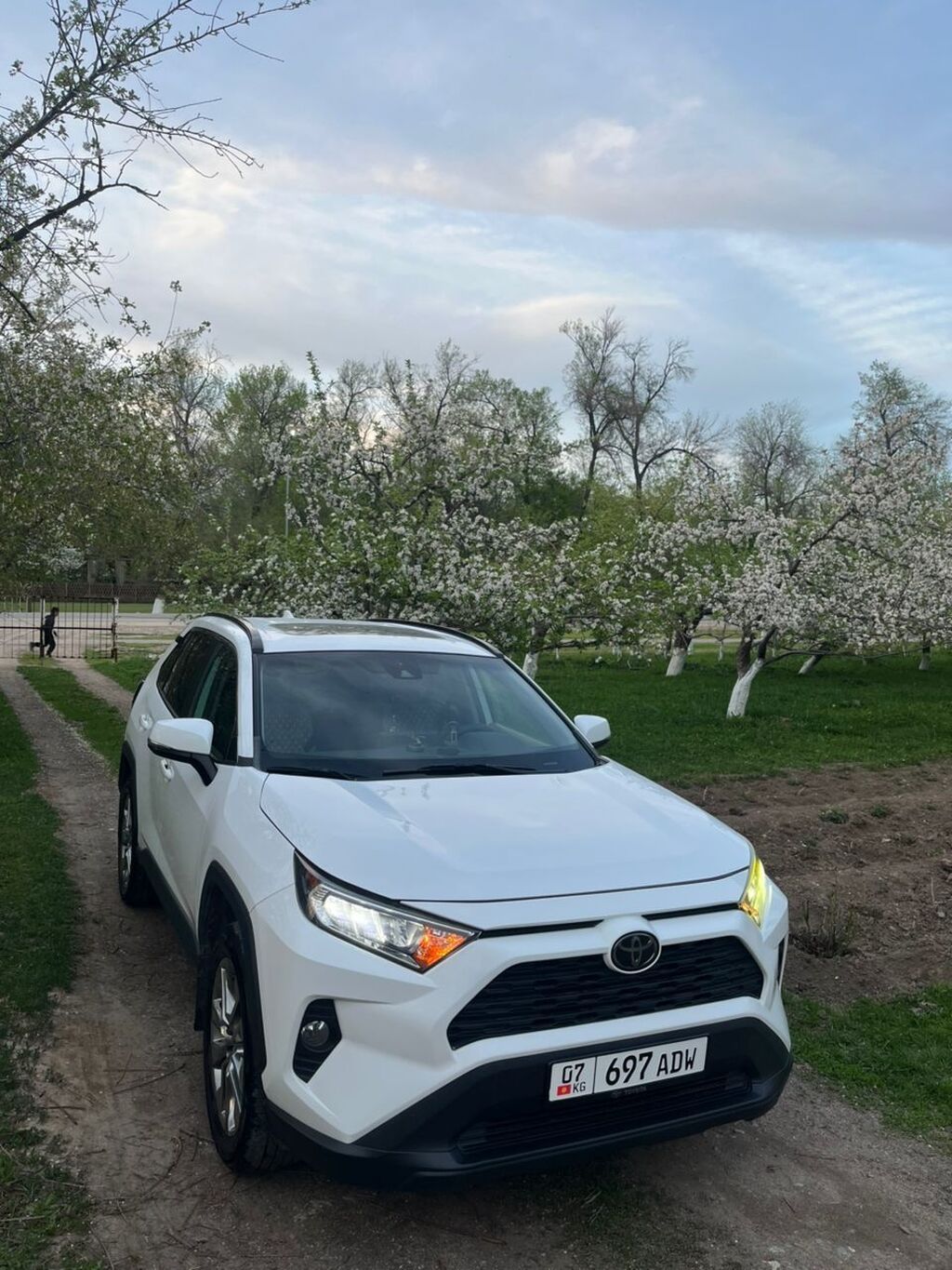 Toyota RAV4: 2020 г., 2.5 л, Автомат, Бензин, Кроссовер: фото 2