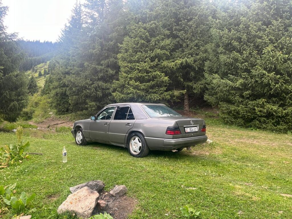 Mercedes-Benz W124: 1993 г., 3.2 л, Механика, Газ, Седан: фото 8