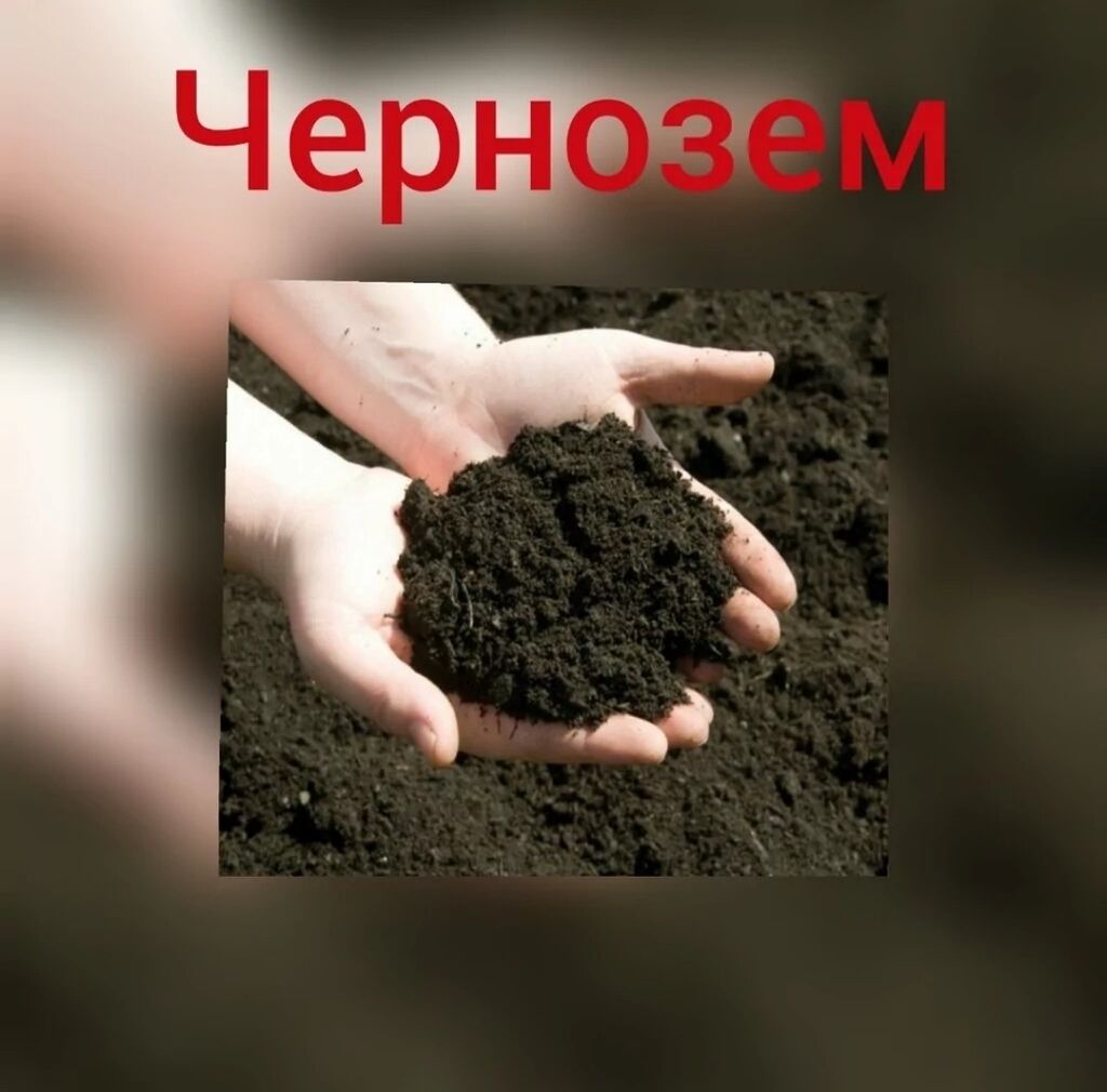 Чернозём (пладородная земля)И Перегной (удобрение)для всех: Договорная ➤  Грунт, чернозем | Бишкек | 100001145 ᐈ lalafo.kg