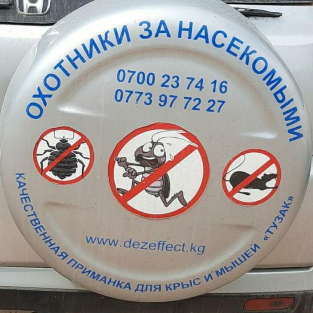 Уничтожение насекомых клоп блох таракан крыс и мышей. | 1500 KGS ...