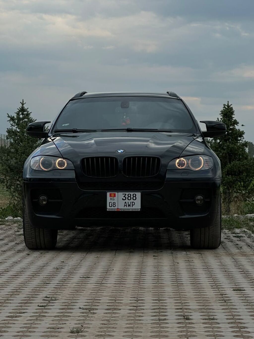 BMW X6: 2009 г., 3 л, Автомат, Бензин, Кроссовер: фото 1