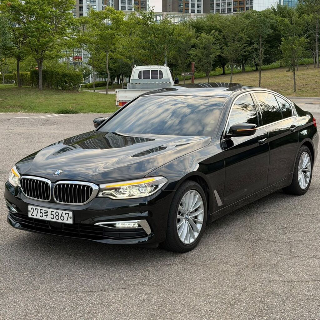 BMW 530: 2019 г., 2 л, Автомат, Бензин, Седан: фото 2
