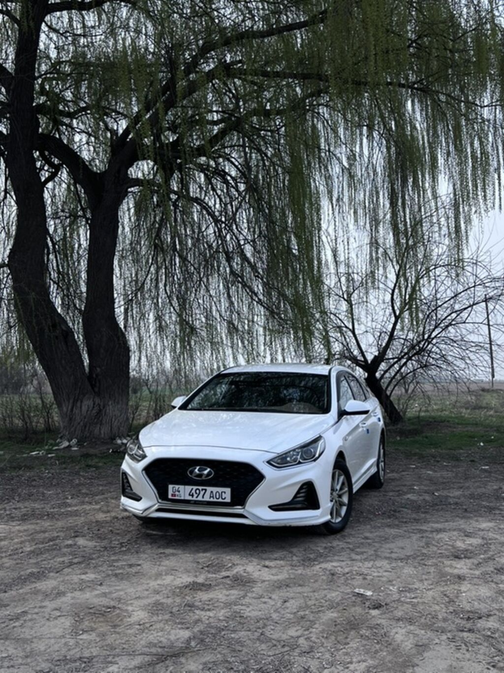 Hyundai Sonata: 2020 г., 2 л, Автомат, Газ, Седан: фото 1
