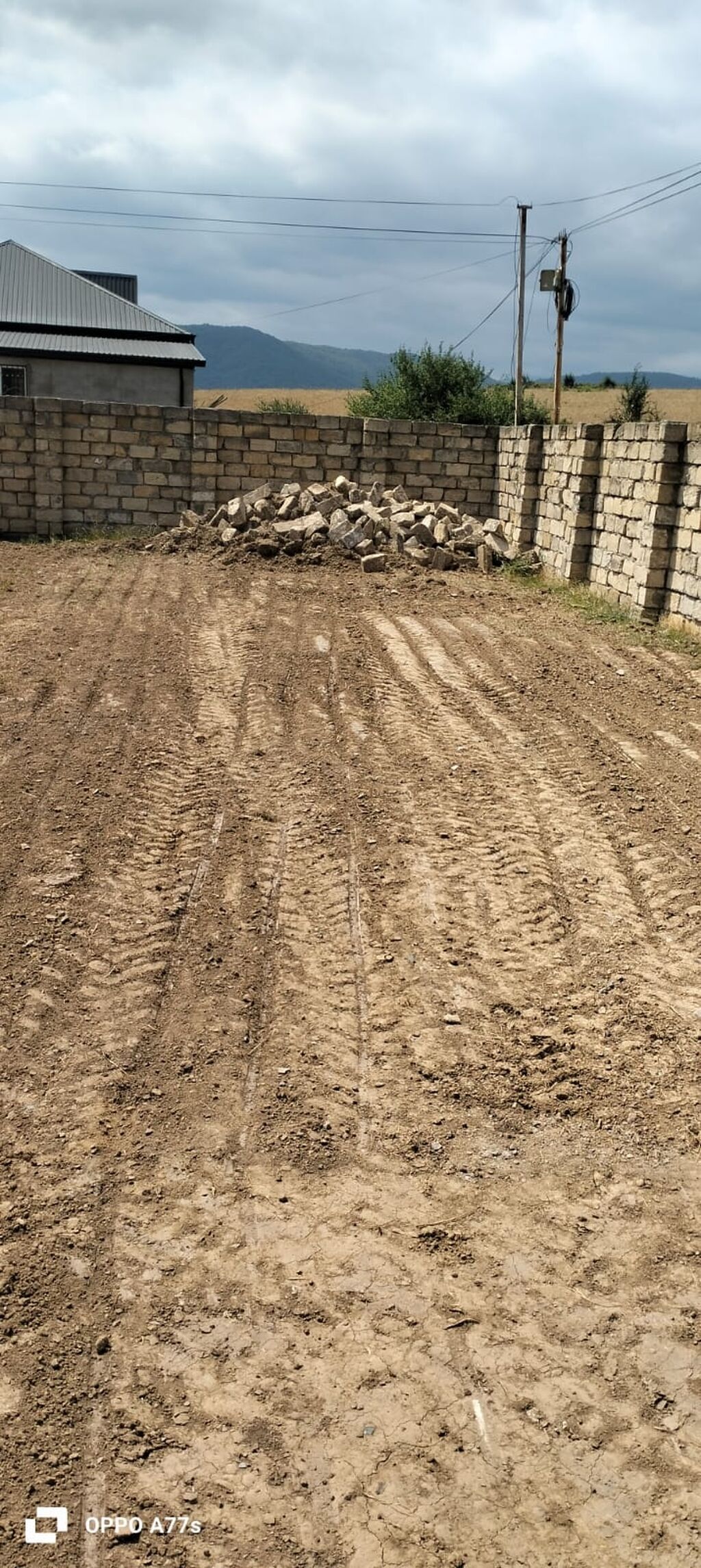 Tikinti
