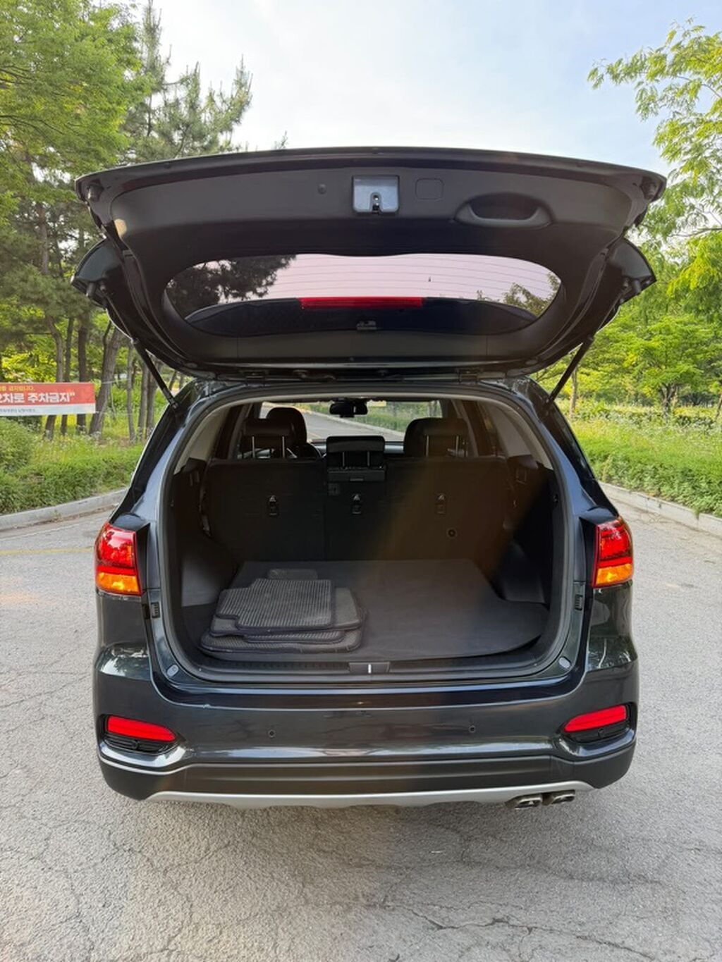 Kia Sorento: 2019 г., 2 л, Автомат, Дизель, Кроссовер: фото 5
