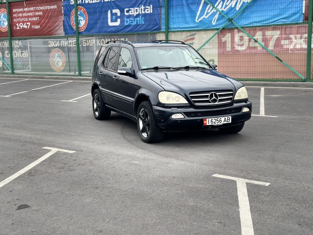 Mercedes-Benz M-Class: 2003 г., 4 л, Автомат, Дизель, Кроссовер: фото 4