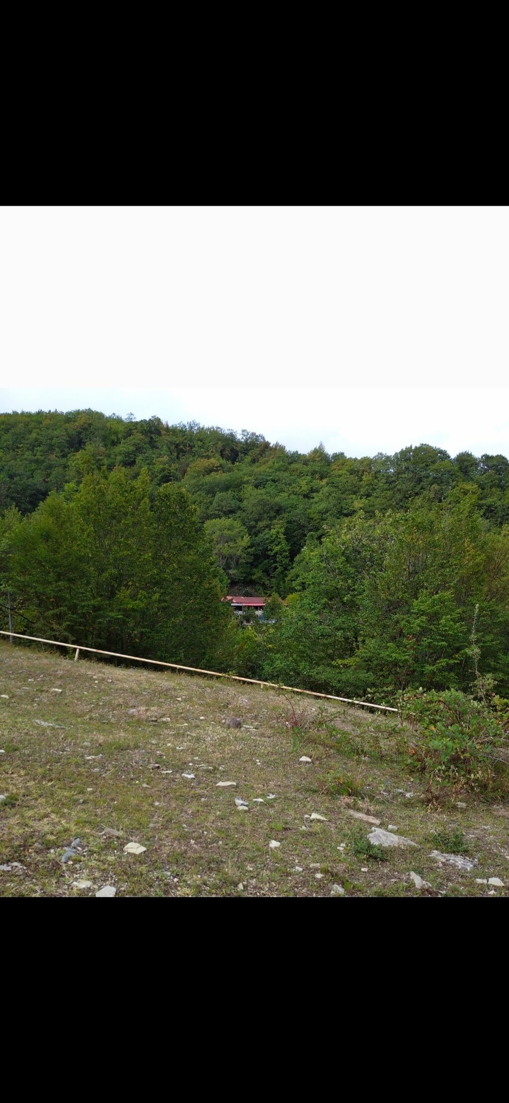 Dağ-meşə mənzərəli kənd evi – qonaqlama üçün - Yaşıllıqla əhatə