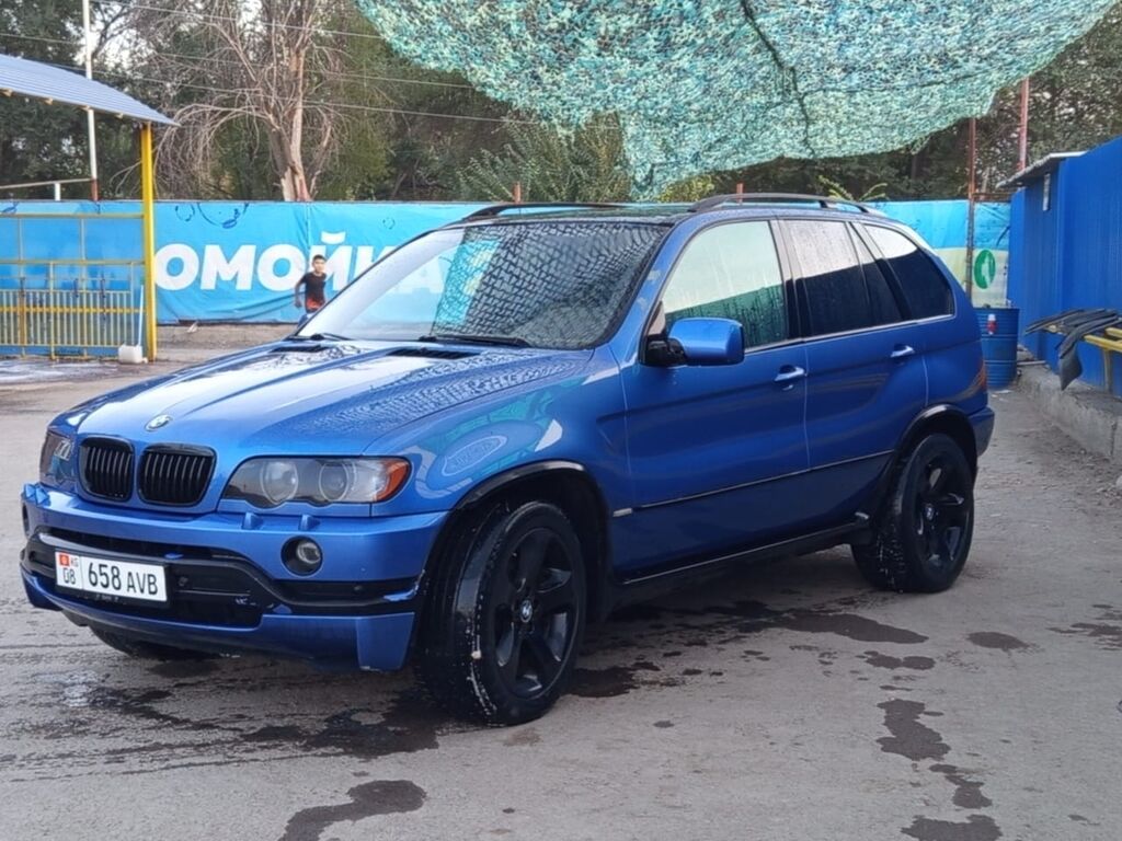 BMW X5: 2002 г., 4.6 л, Автомат, Газ, Кроссовер: фото 4