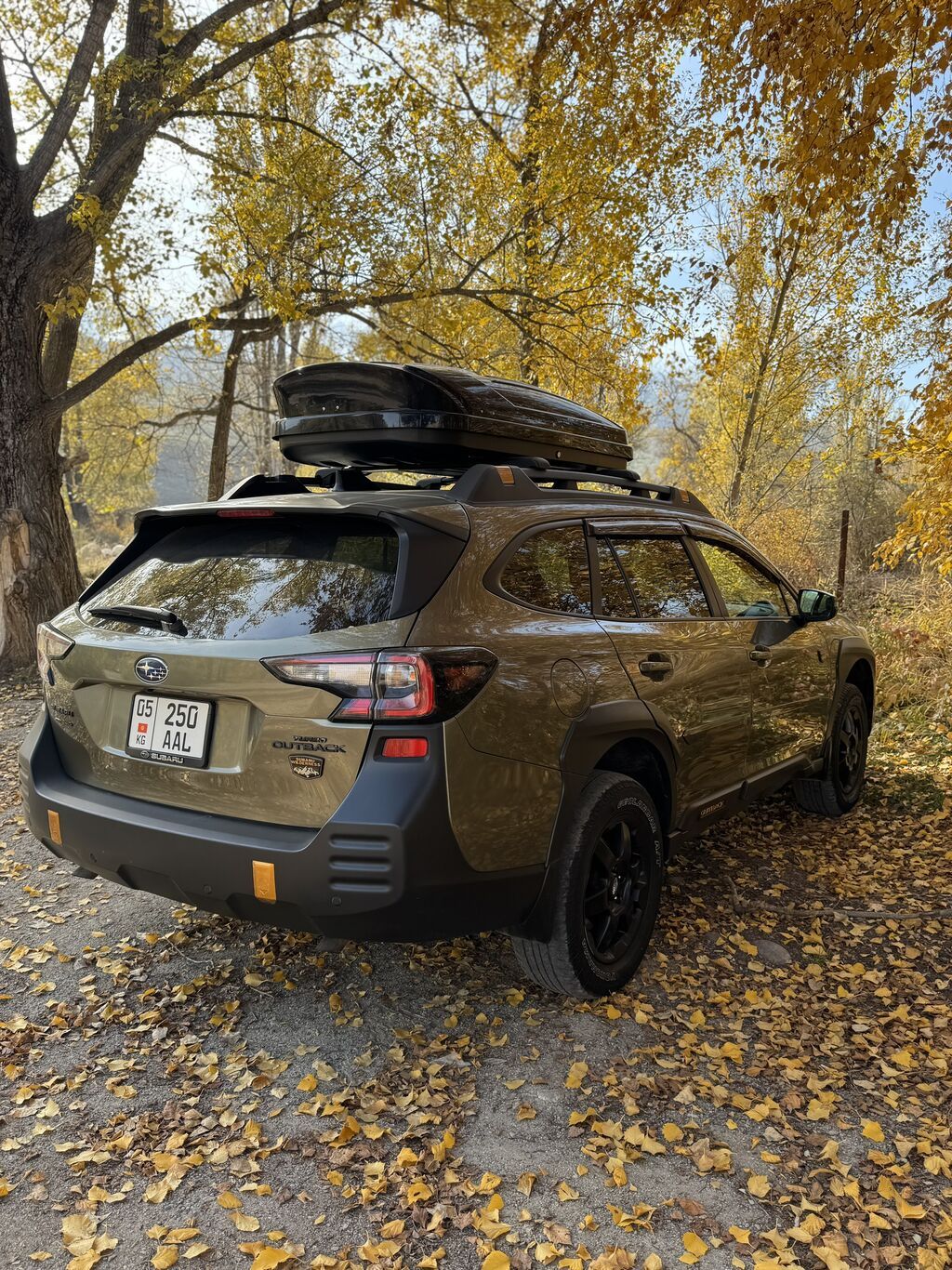 Subaru Outback: 2022 г., 2.4 л, Вариатор, Бензин, Универсал: фото 4