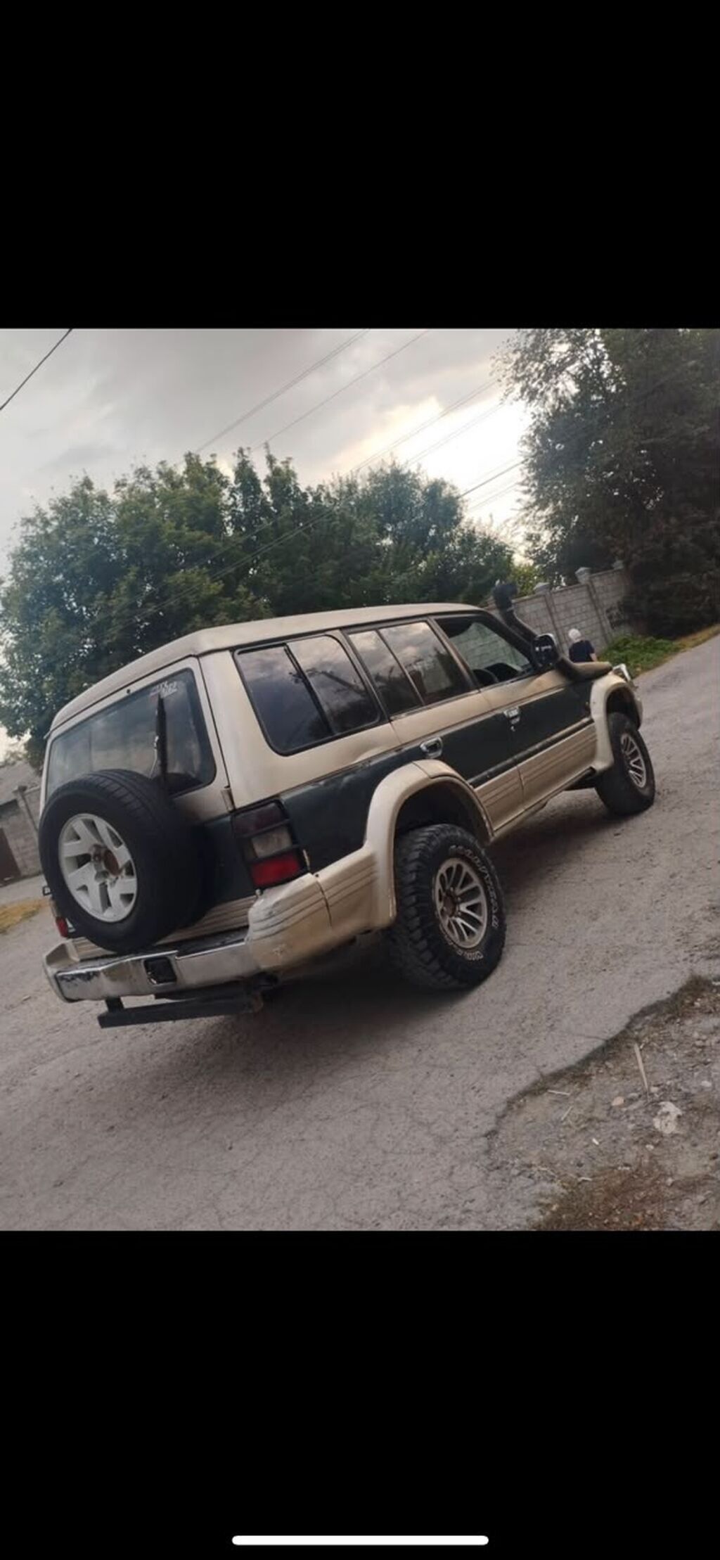 Mitsubishi Pajero: 1993 г.: фото 4