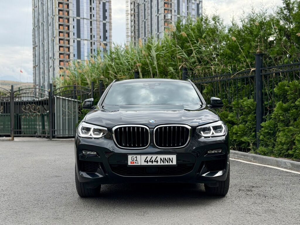 BMW X4: 2020 г., 2 л, Автомат, Дизель, Кроссовер: фото 1