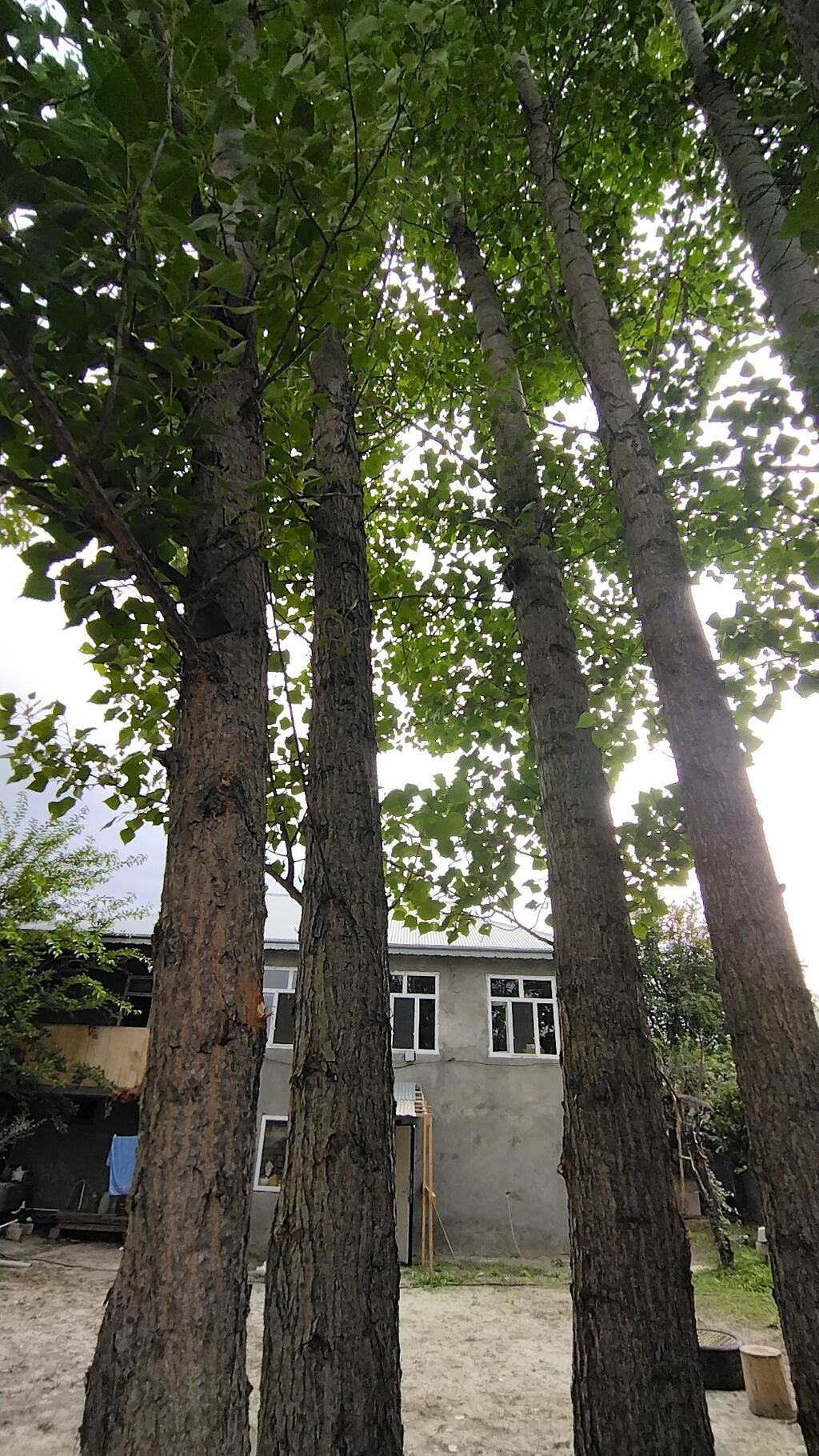 8 otaq, 260 kv. m, Kredit yoxdur, Orta təmir