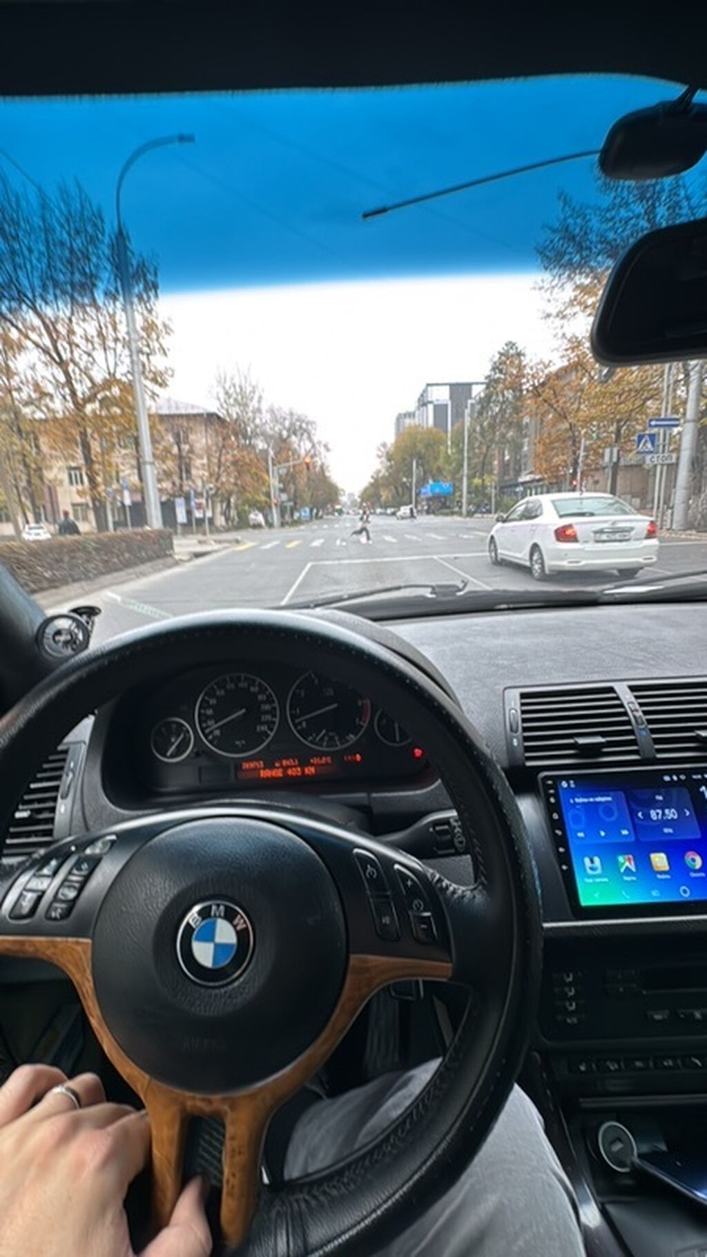 BMW X5: 2002 г., 4.4 л, Автомат, Бензин, Кроссовер: фото 4