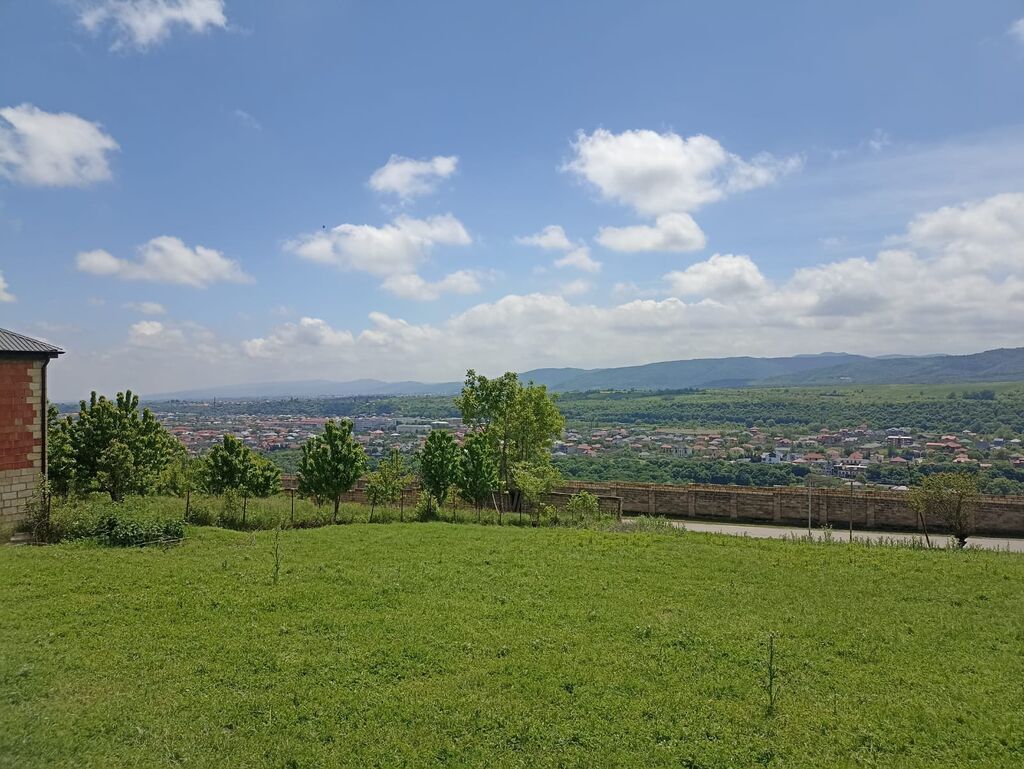 13 sot, Tikinti, Mülkiyyətçi, Kupça (Çıxarış)