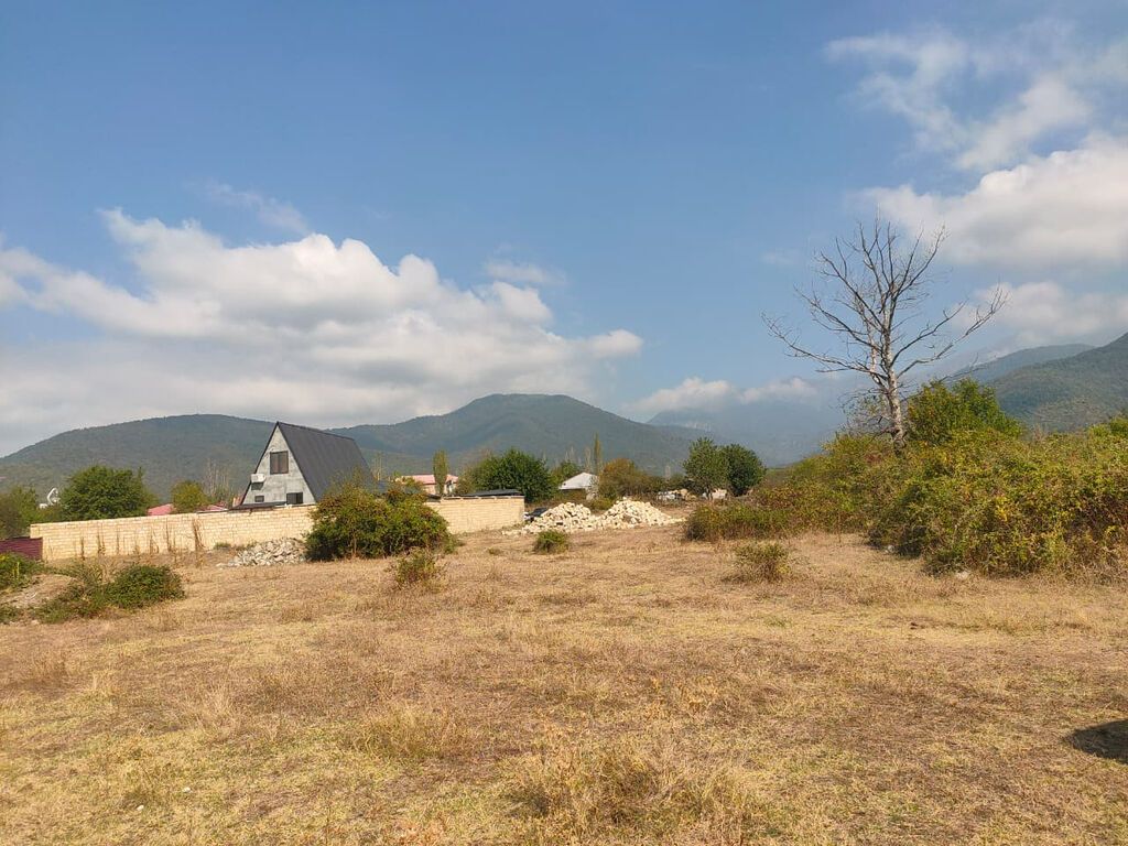 Tikinti, Mülkiyyətçi, Kupça (Çıxarış)