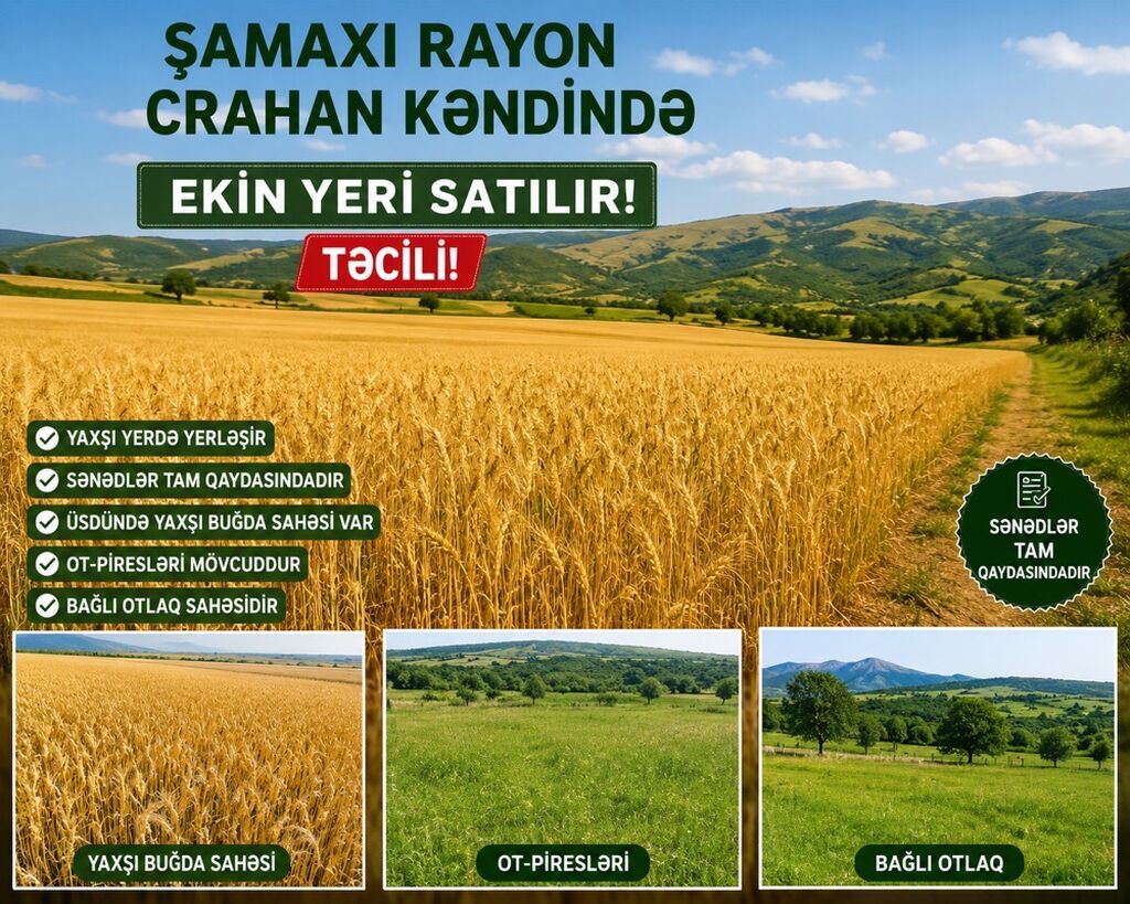 Kənd təsərrüfatı, Kupça (Çıxarış)