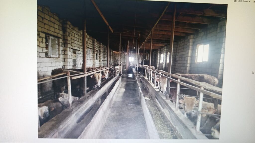 FERMA HAZIR ISTIFADEYE YARARLI HEC BIR XERC TELEB ETMIR UMUMILIKDE 4